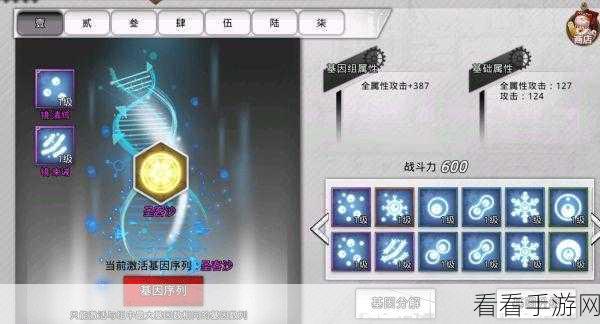 FGO 2024 闪闪祭，丰厚奖励与兑换道具全解析