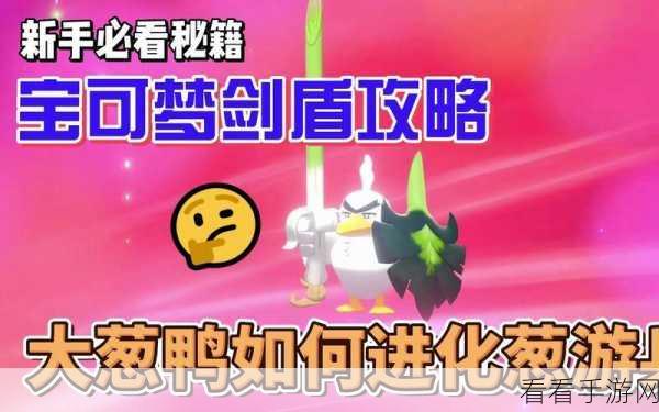 宝可梦剑盾等级速升秘籍，直达 100 级不是梦