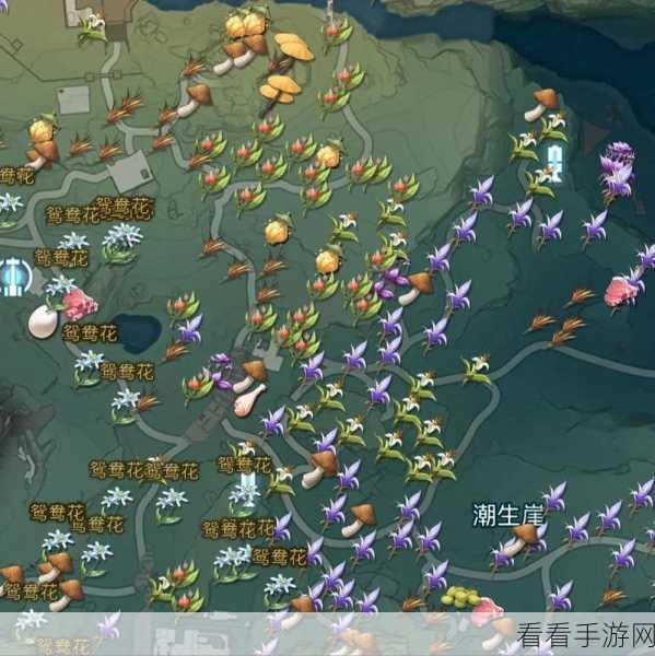 鸣潮中曲台地解密秘籍大公开