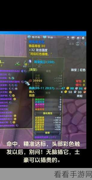 魔兽世界 WLK 奥杜尔钢铁议会，揭秘唤雷者强大技能