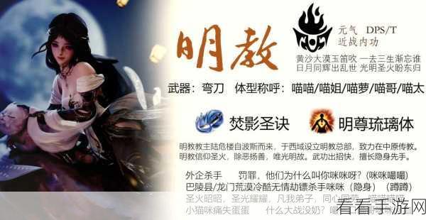 剑网 3 职业强度排行榜与提升秘籍