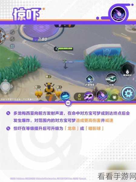 宝可梦大集结,解锁强力集结招式的终极指南