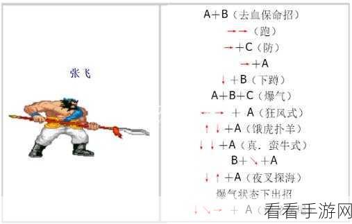 三国战记 2 必杀技秘籍，完整出招表大揭秘