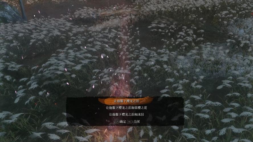探秘<只狼>，常樱之花获取秘籍与神奇作用