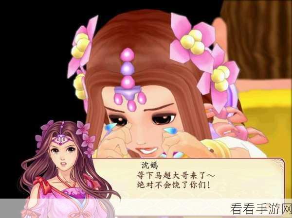 幻想三国志 2 秘籍全解析，助你称霸游戏江湖