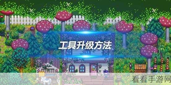 星露谷物语背包扩容秘籍大公开