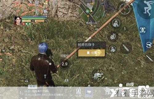 黎明觉醒碎布获取秘籍大公开