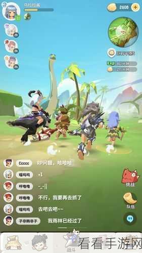 不休的乌拉拉，深度解析彩虹石的神奇用途