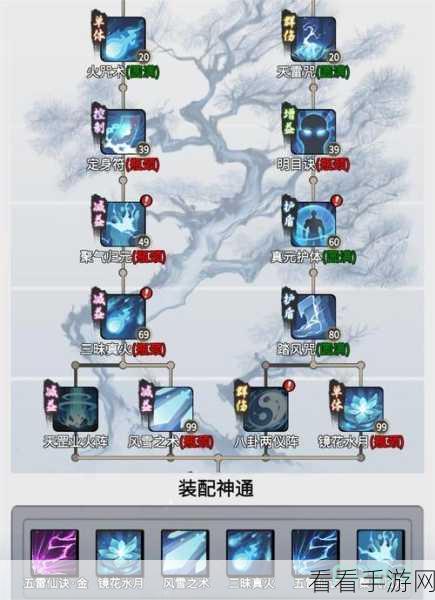 一念逍遥，双修与单修的终极抉择指南