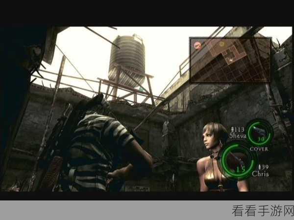 生化危机 5 蓝牌收集全攻略，位置大揭秘