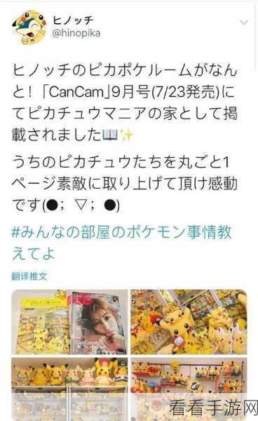 探寻 Pika 官网入口，详细地址全知道