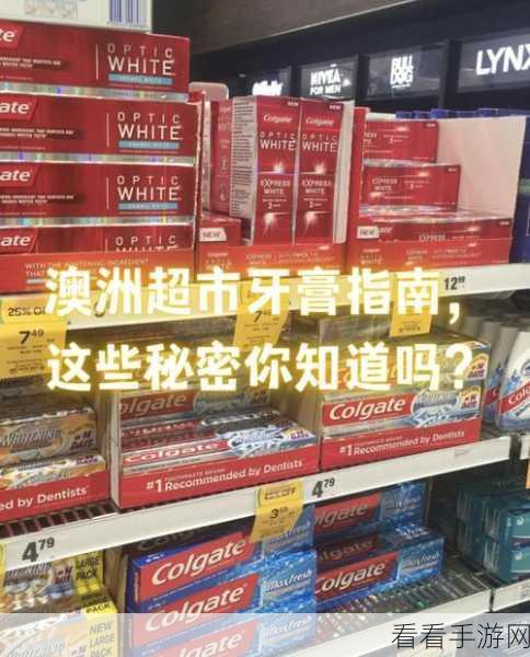 流浪超市员工精选指南，谁才是最佳之选？