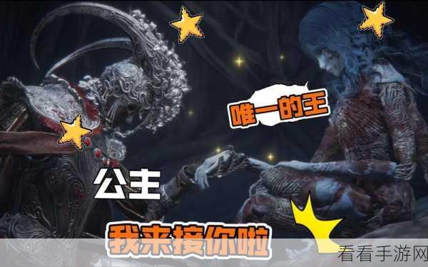 艾尔登法环夏玻葡萄全解析，神秘力量与隐藏信息
