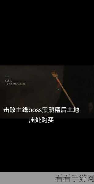 深度剖析，黑神话悟空不求人的购买价值与实用指南