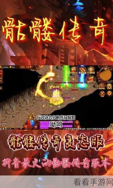 龙迹之城，最强职业揭秘与攻略秘籍（最新版）