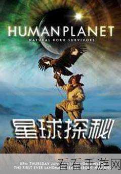 探秘星球重启，视觉转码器获取秘籍大公开