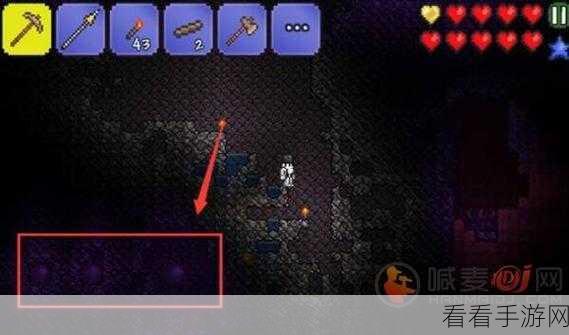 泰拉瑞亚，探秘世界吞噬怪召唤物的精心制作