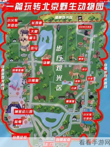 轻松搞定动物园之星可攀爬区域设置秘籍