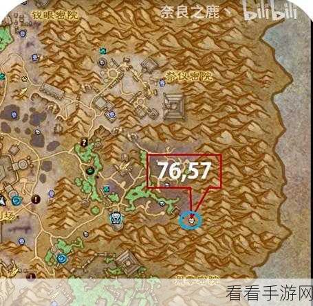 魔兽世界，轻松获取哀伤克星的终极秘籍