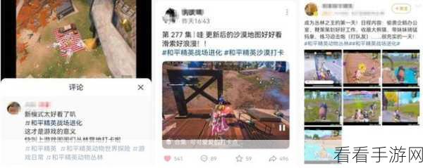 和平精英无法观战之谜，深度剖析与破解攻略