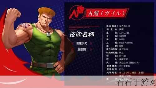 提灯与地下城，无敌阵容大揭秘，制霸全场不是梦