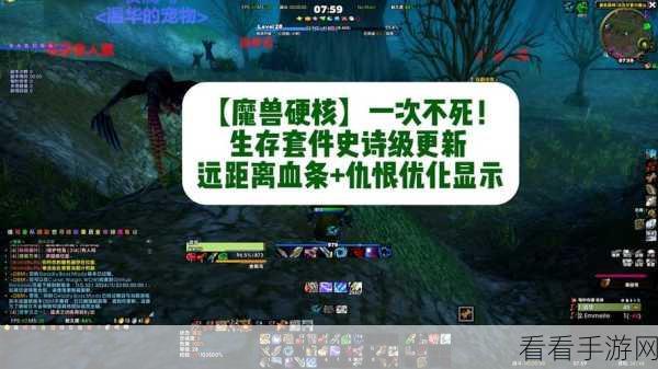 魔兽世界怀旧服，轻松掌握怪物血量显示秘籍
