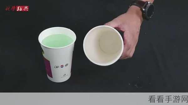 杯杯倒满多人联机秘籍，畅玩技巧与实战攻略