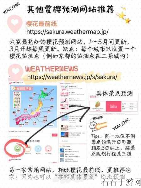 独家秘籍！星球重启影烬的全方位获取指南