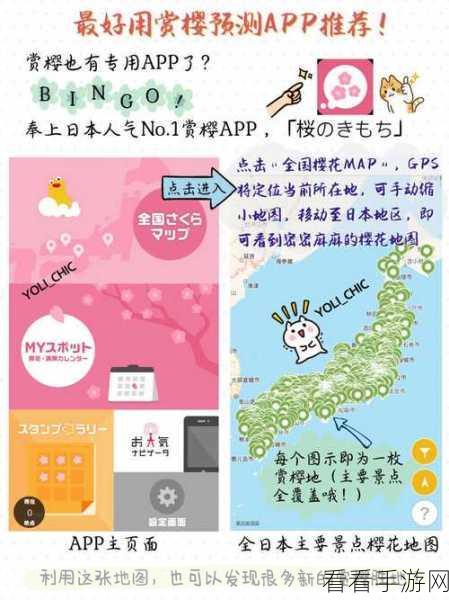 独家秘籍！星球重启影烬的全方位获取指南