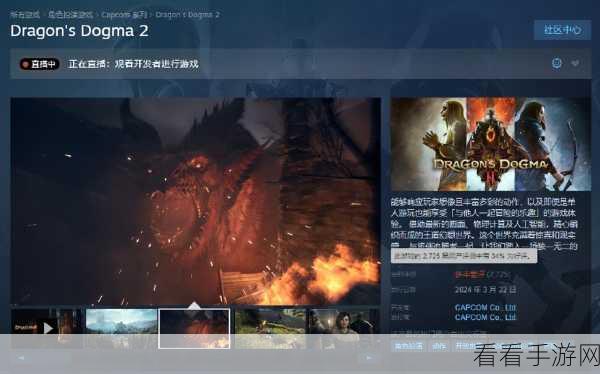 龙之信条 2 画面卡顿终极解决指南