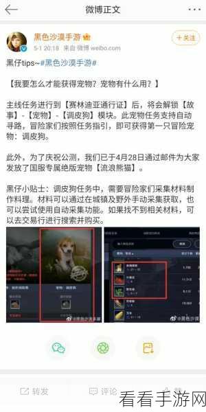探秘黑色沙漠手游，宠物鹰获取秘籍大公开
