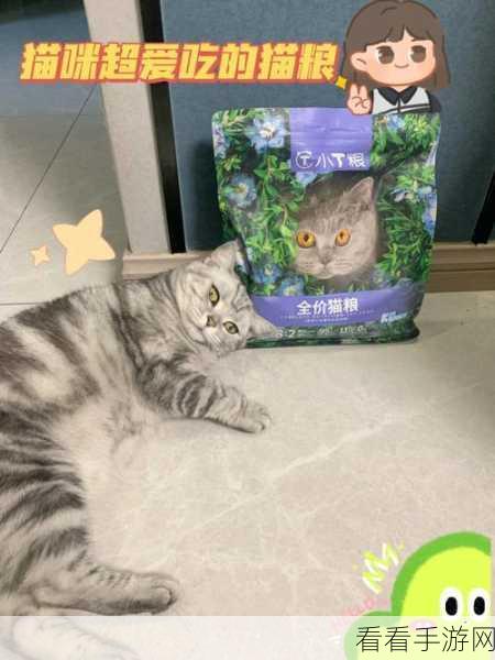 轻松拿下！小猫咪大城市饭团帽收集秘籍