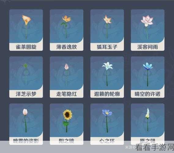 原神堇庭华彩花影瑶庭第四关通关秘籍大揭秘