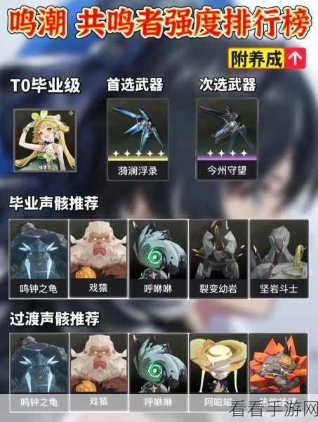 鸣潮震撼来袭！深度解析磐石守卫声骸的强大技能与属性