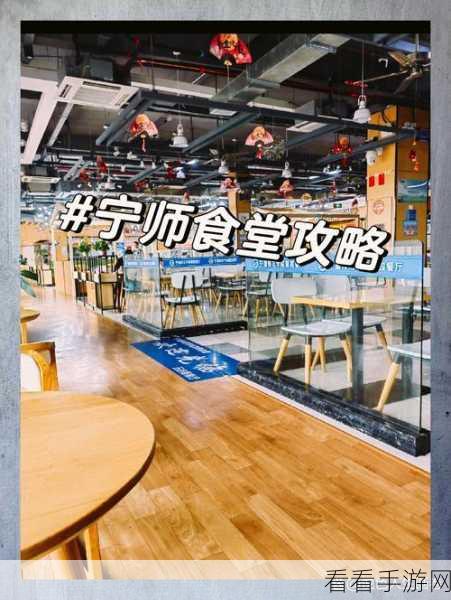 轻松攻克就挺秃然的良心食堂关卡秘籍