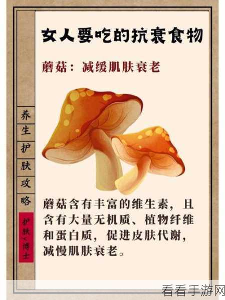桃源记新手必知，前期食物获取秘籍大公开