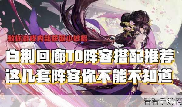 白荆回廊无敌阵容搭配秘籍，T0 阵容称霸战场