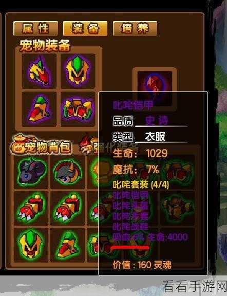 造梦西游 3 宠物装备终极指南，谁是最佳之选？