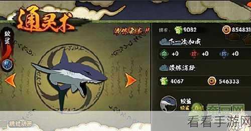 泰拉瑞亚手游，鲨牙项链高效获取秘籍