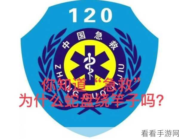 魔兽世界急救突破 300 级，大师级急救学习秘籍