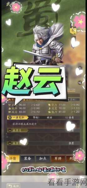 三国志 8 重制版，赵云的传奇人生大揭秘