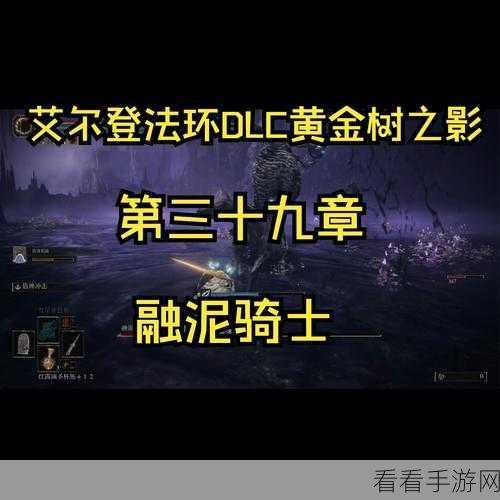 艾尔登法环 DLC 火焰骑士赐福覆眼膜获取全攻略