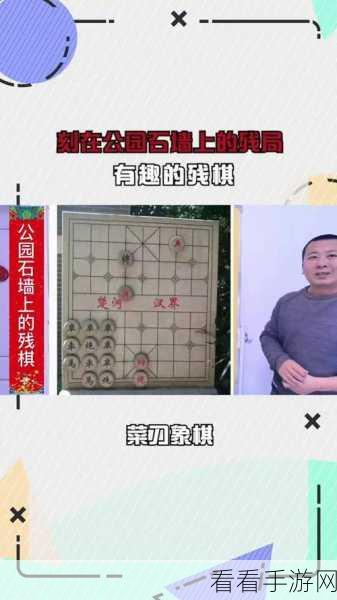 天天象棋残局挑战 215 期，精妙破局秘籍大公开