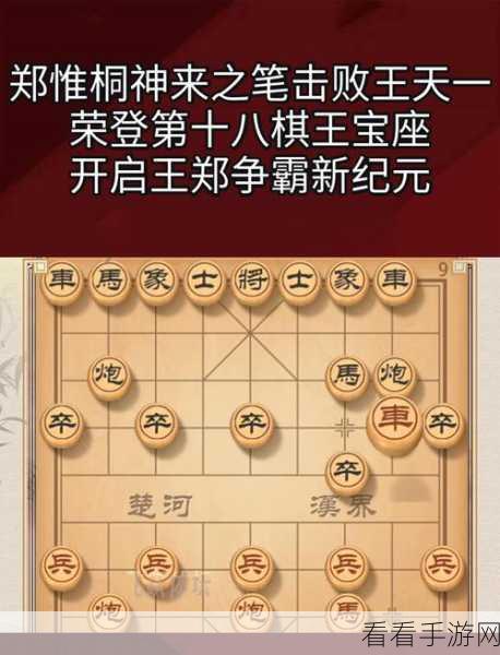 象棋翻翻棋暗棋，策略对决，智夺棋王宝座