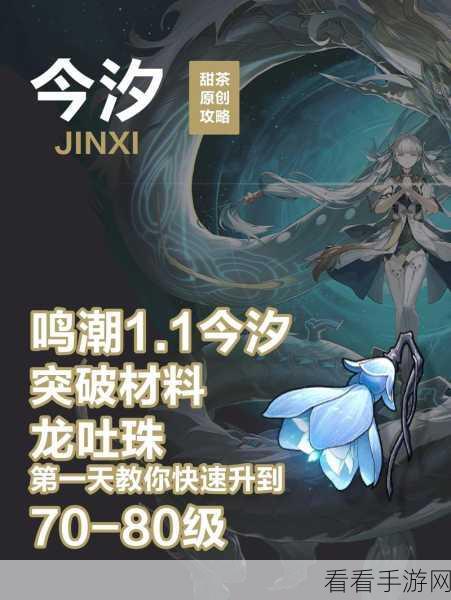 鸣潮龙吐珠采集全攻略，精准位置大揭秘