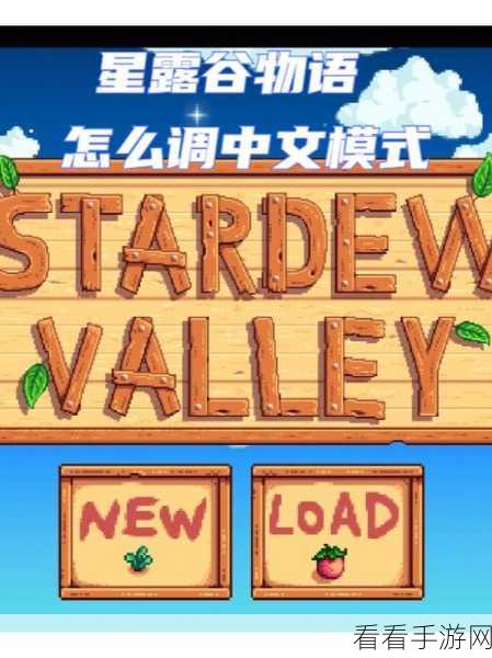 星露谷物语中文设置秘籍大公开