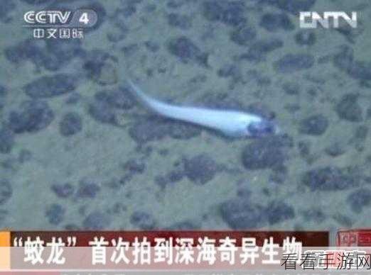 探秘非生物因素动力台制作，轻松上手攻略