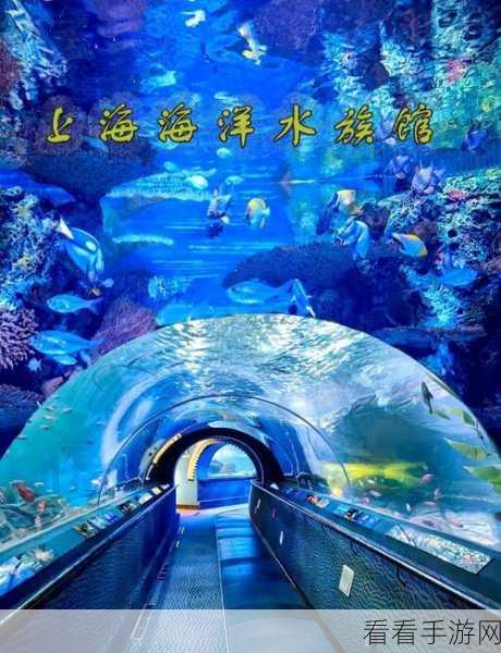 深海水族馆破解版2022内购免费，畅享舒缓海底世界！