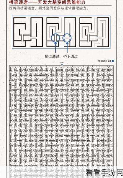 挑战极限！脑力训练营通关秘籍大揭秘