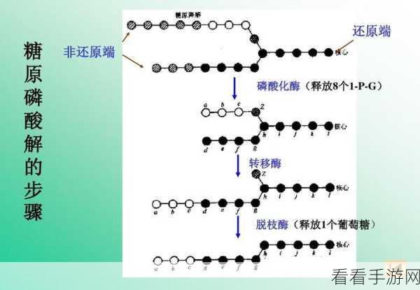 探秘非生物因素异界灼热剂，配方与方法全攻略